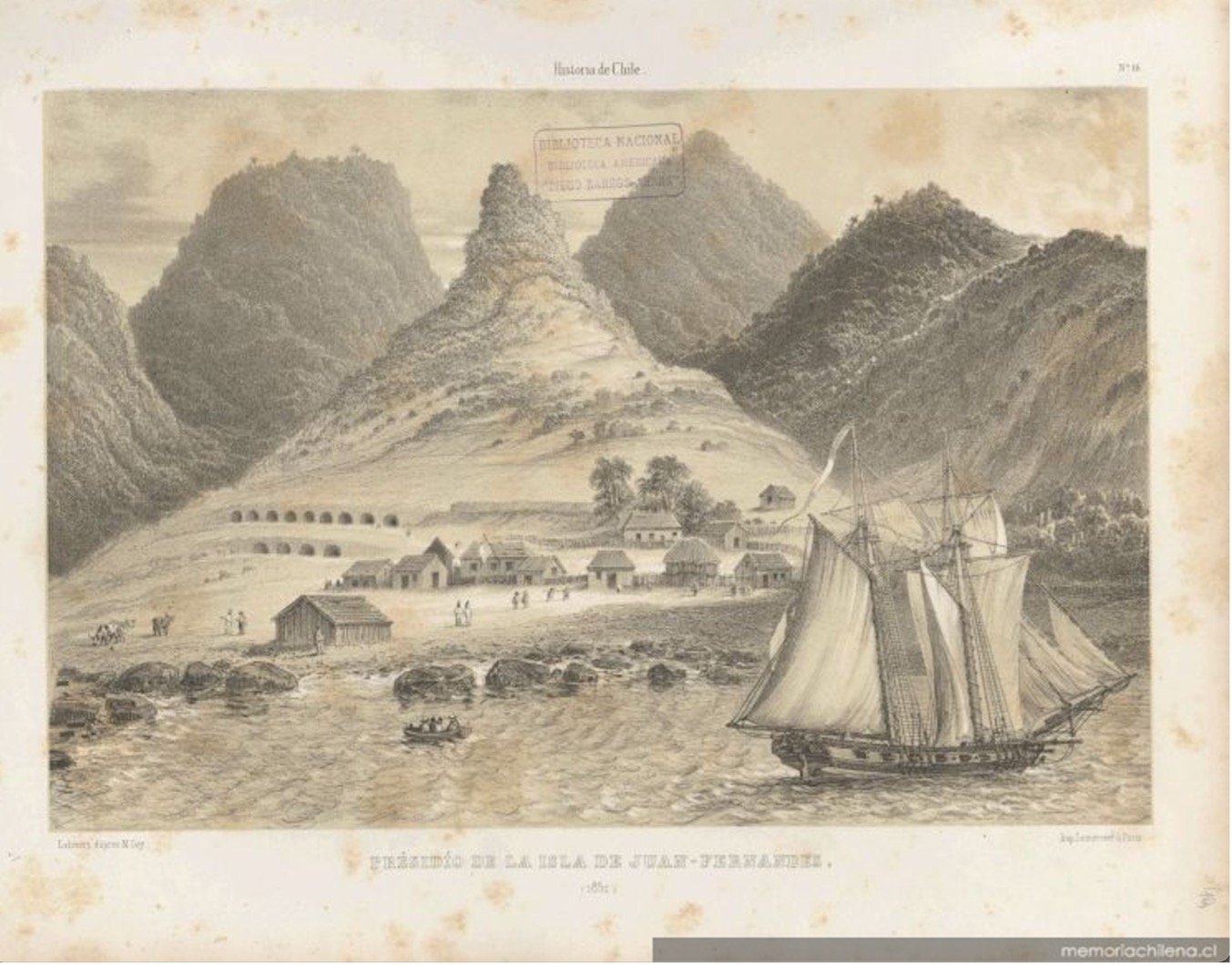 Claudio Gay, Archipi&eacute;lago de Juan Fern&aacute;ndez (Chile), 1832. Tomo 1, l&aacute;mina n&uacute;mero 16. Biblioteca Nacional de Chile (MC0001984, N&deg; 82854)